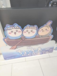 美海