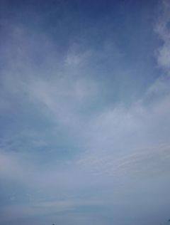 まみ